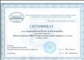 Сертификат участника семинара "Использование ИКТ в образовательном процессе"
